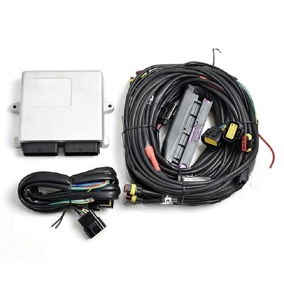 فضي LN2568 أوتوجاز سيارة CNG LPG ECU لمحركات 6/8 أسطوانة