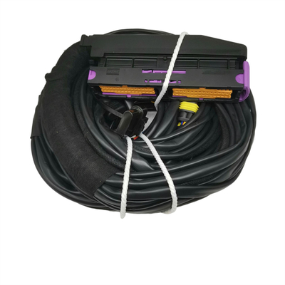 OEM المقبولة ISO9001 الحزام الكابلات السيارات المقاومة للماء ل 56 دبوس ECU