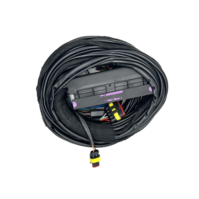 4 سلندر ECU متعدد النقاط حقن الوقود تسخير 56 دبوس CNG LPG Auto Wiring Harness