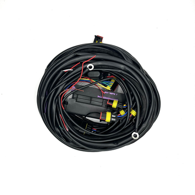 4 سلندر ECU متعدد النقاط حقن الوقود تسخير 56 دبوس CNG LPG Auto Wiring Harness